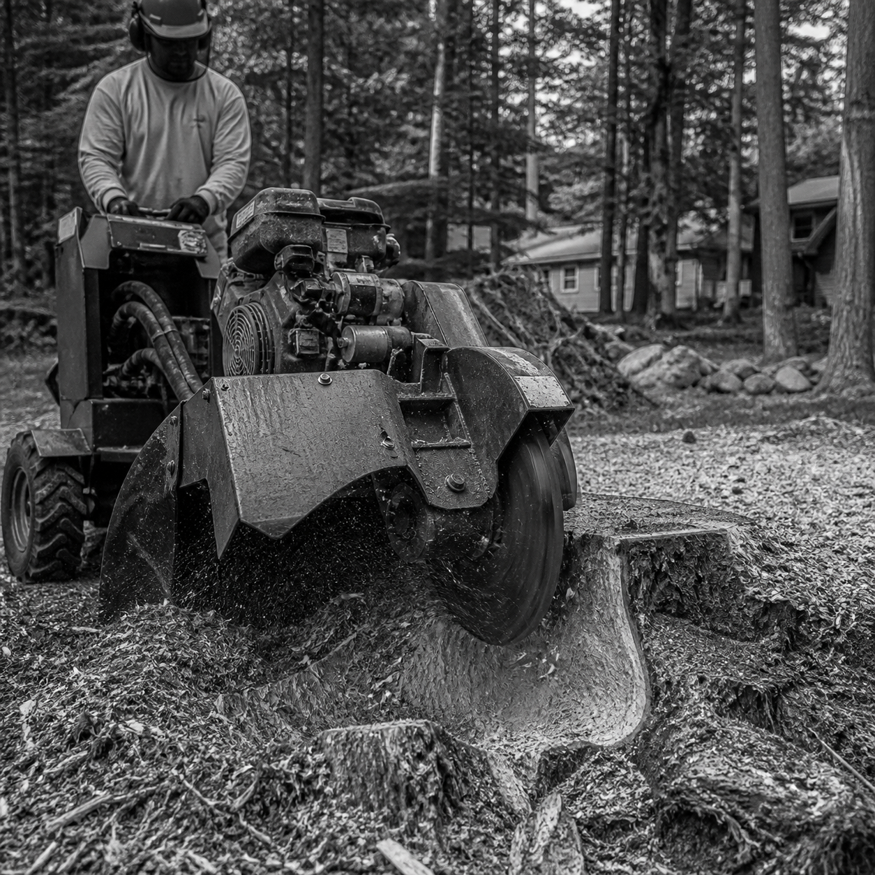 Arborist operating a stump grinder on a wooded property